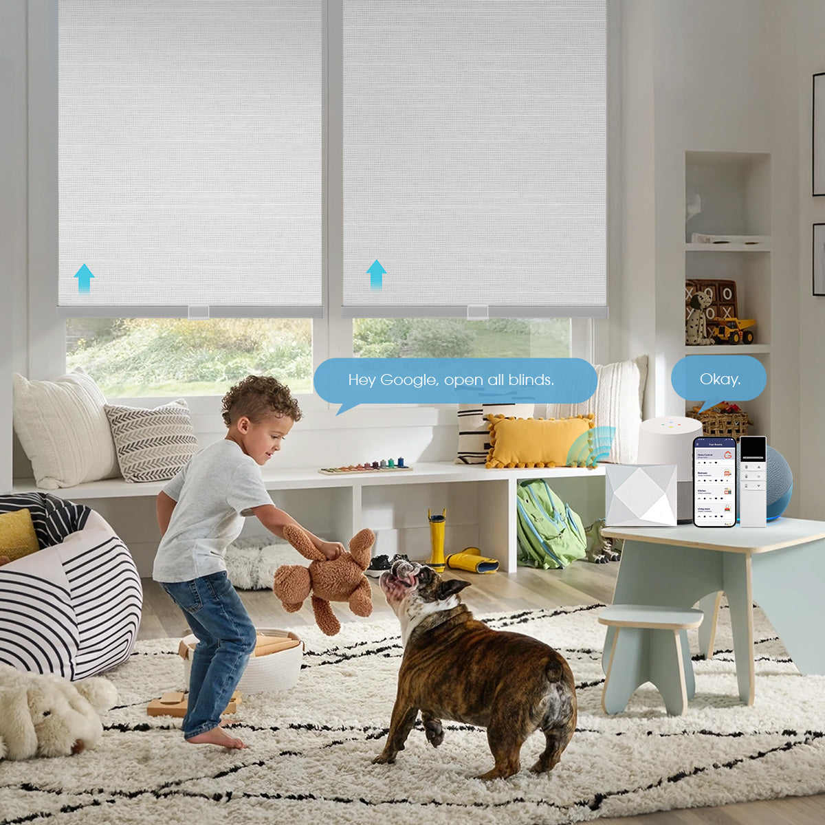 Alexa Roller Shade Routines for Sunrise, Sunset, and Daily Privacy