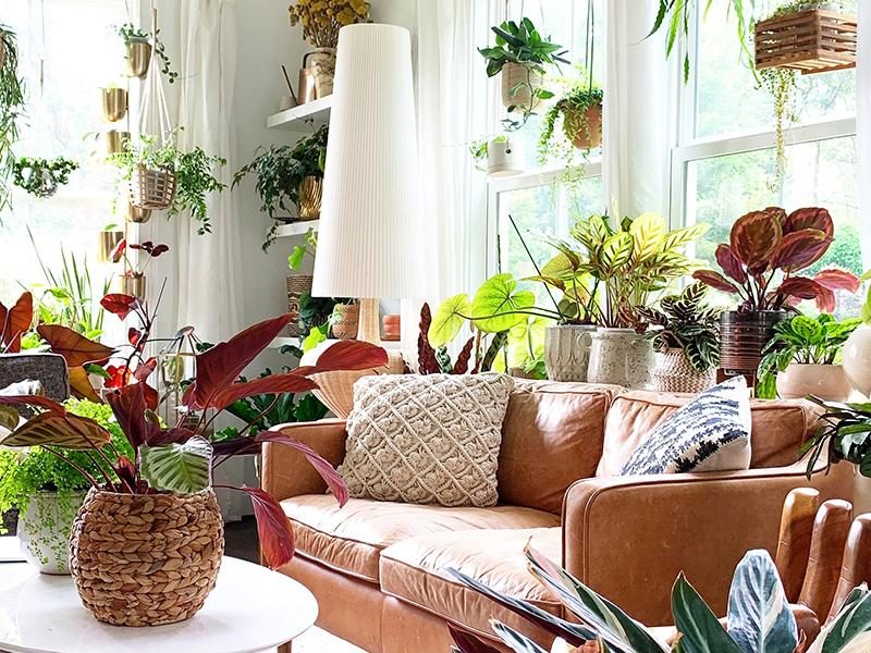 Best Roller Shades for Boho and Bohemian Eclectic Interiors: Layering Texture and Color