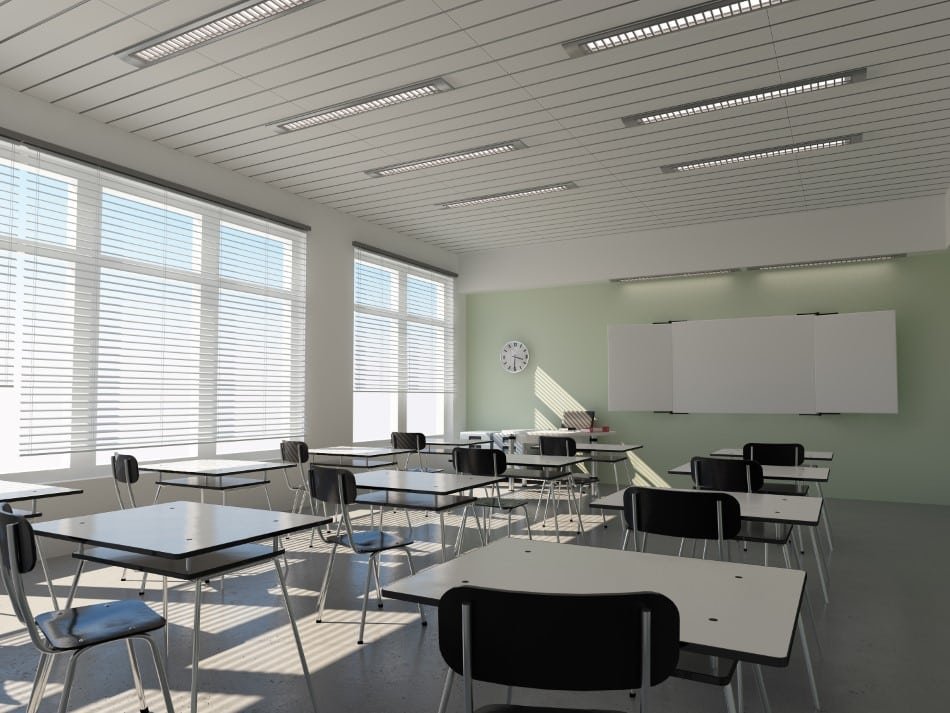 Best Roller Shades for Schools and Classrooms: Education-Grade Window Treatments