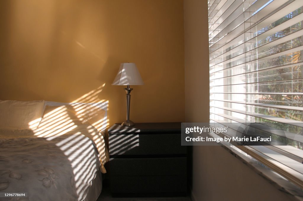 Best Window Shades for East-Facing Windows: Tame the Morning Sun