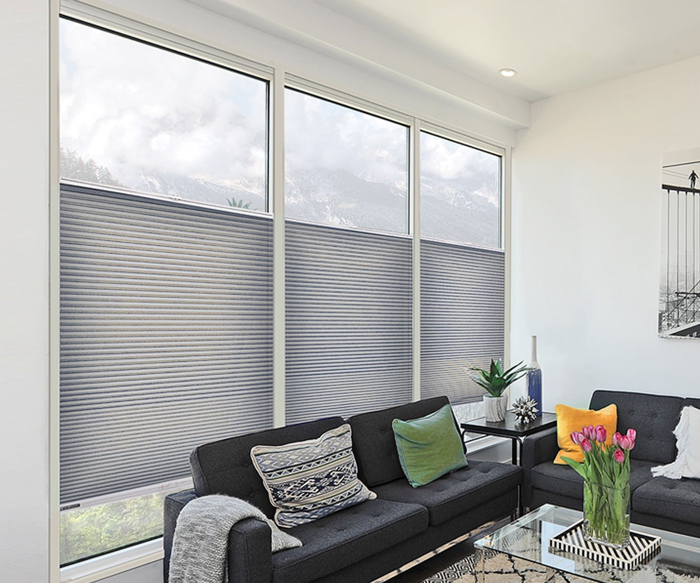 Roller Shades for Tall, Narrow Windows: Proportion and Operating Tips